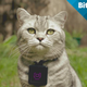 Illustration for article titled Cats Using Instagram, and Everything Else You Missed Yesterday